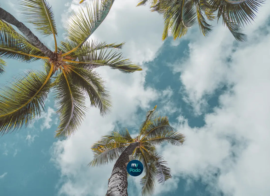 Restez connectés : My Podologie reste ouvert tout l'été ! - My Podologie