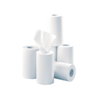 12 bobinas de papel liso com desenrolamento central - 200 formatos - 21 x 35 cm - Euromédis