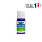 Óleos essenciais - Orgânicos - 10ml - Eona