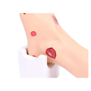 Modelo de pé com feridas - Anatomia e patologia Minha Podologia 