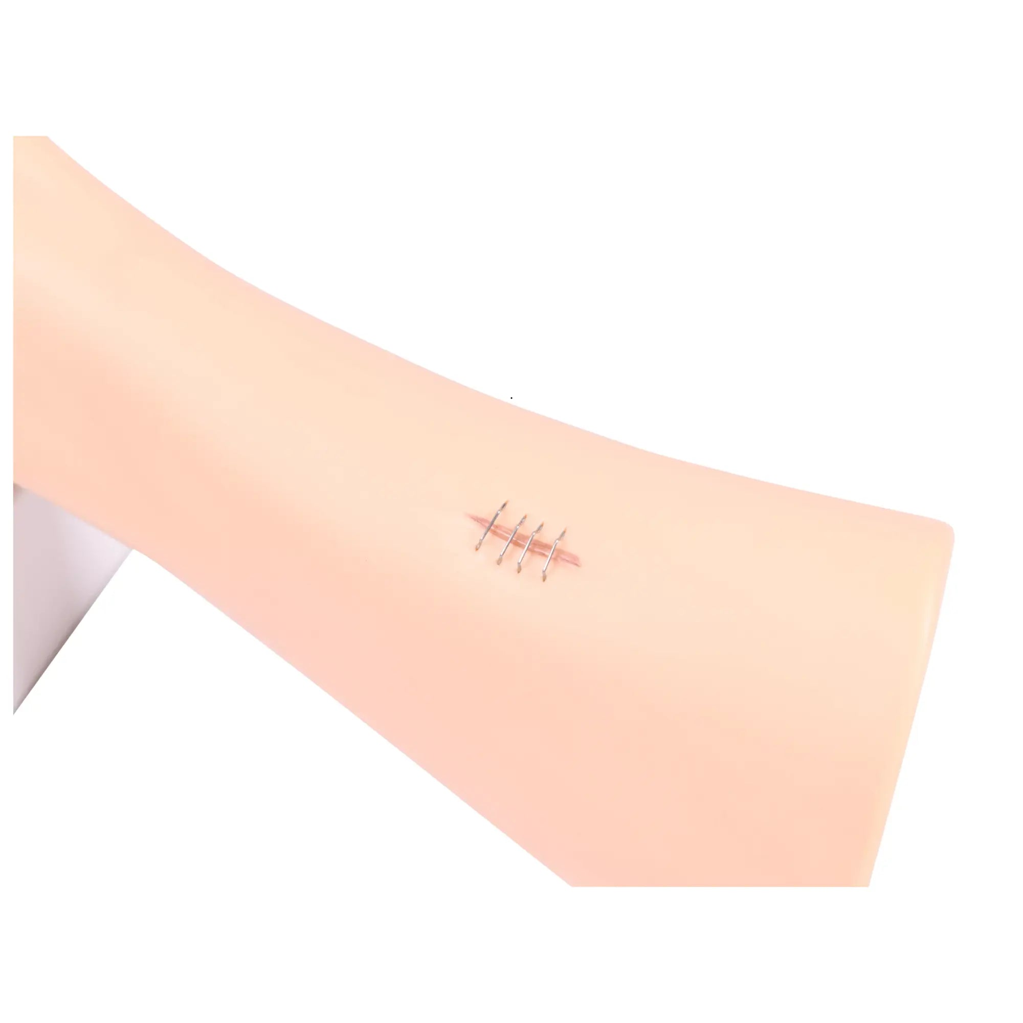 Modelo de pé com feridas - Anatomia e patologia Minha Podologia 