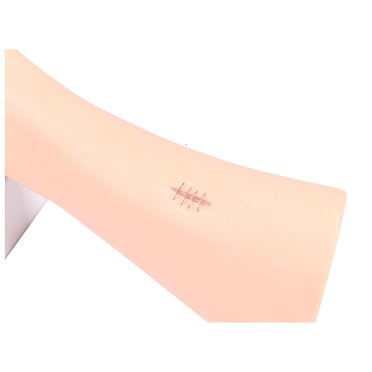 Modelo de pé com feridas - Anatomia e patologia Minha Podologia 