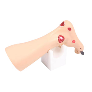 Modelo de pé com feridas - Anatomia e patologia Minha Podologia 