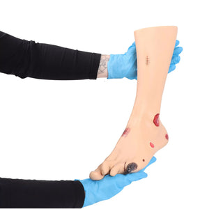 Modelo de pé com feridas - Anatomia e patologia Minha Podologia 