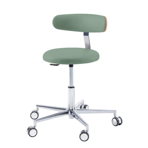 Siège praticien - ROUND - Ruck - Ressort à Gaz Long Ruck  Sauge-Dossier-Radius-CPL-Noyer